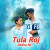 About Tula Roj Dakha Mi Song